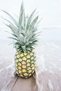 Foto, Ananasfrucht, Strand, Ananas, Dessert, Vorspeise, Obst, Saft, Ernte, Ozean, Meer, Sand, Tropische Frucht, gesundes Essen, Essen und Trinken, Wohlbefinden, Frische, Lebensmittel, keine Leute, Natur, grüne Farbe, Wasser, Tag, Nahansicht, Fokus auf den Vordergrund, Tabelle, draußen, Gelb, 5K, CC0, gemeinfrei, lizenzfrei
