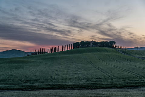 peluză, verde, iarba câmp, siluetă, poli, distanţă, gri, cer, răsărit, iarbă verde, val d'orcia, chiparosul, Tuscany, cyprus italian, siena provincie, natură, rural, Pienza, Italia, camp, agricultură, peisaj, fermă, apus de soare, scenics, zona chianti, deal, în aer liber, san quirico d'orcia, nici o persoana, scenă non-urbană, cultura italiană, imagine color, nor - cer, teren, scenice - natura, liniște, frumusețe în natură, mediu inconjurator, o scenă liniștită, arhitectură, plantă, iarbă, construită, exteriorul clădirii, rulare peisaj, 5K, CC0, domeniu public, fără drepturi de autor