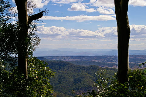 kraštovaizdį, medžiai, kaimo, Peržiūrėjo, atstumas, peizažas, Australija, queensland, saulėtas, dangus, medis, augalų, vaizdai - gamta, grožis gamtoje, ramybė, ramioje scenoje, debesis - dangus, pobūdį, medžio kamienas, bagažinė, kalnas, aplinką, nėra žmonių, ne miesto scenoje, dieną, idiliškas, augimą, lauke, kalnų, 2K, CC0, Viešasis domenas, nemokamai