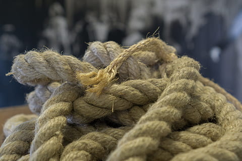 dug, knude, snor, tråd, maritim, uld, tekstil, tæt på, ingen mennesker, selektiv fokusering, Kunst og håndværk, reb, pattedyr, fokus på forgrunden, dyr, materiale, håndværk, dag, indendørs, dyre temaer, uldkugle, blødhed, husdyr, bundet op, 5K, CC0, offentligt domæne, royaltyfrie