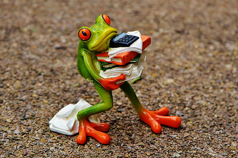 green, frog, carrying, paper documents figurine, ground, figure, files, stack, files stacked, office, decoration, animal, funny, cute, ceramic, fun, sweet, calculator, office work, work, stress, toy, no people, red, childhood, day, close-up, outdoors, model airplane, animal representation, representation, nature, toy car, figurine, focus on foreground, sport, food, green color, food and drink, land, pepper, transportation, animal themes, 5K, CC0, public domain, royalty free