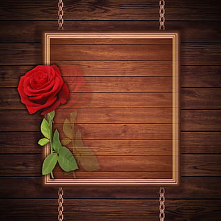 rød, Rose, blomster illustration, kort, design, struktur, baggrund, grund, rød rose, romantico, træ, Brun, ønsker, træ - materiale, blomst, blomstrende plante, plante, rosenblomst, skønhed i naturen, indendørs, natur, ingen mennesker, friskhed, blad, direkte over, plante del, bord, sårbarhed, skrøbelighed, blomsterhoved, høj vinkel visning, blomster arrangement, 5K, CC0, offentligt domæne, royaltyfrie