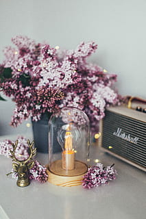 rosado, púrpura, las flores, junto a, marrón, amplificador de cabeza de guitarra marshall, de madera, basado, claro, cúpula de cristal lámpara de mesa, blanco, bulbo, ligero, idea, interior, decoración, marshall, ciervo, bombilla, filamento, altavoz, mesa, casa, lila, flor, planta floreciendo, planta, adentro, naturaleza, frescura, nadie, florero, fragilidad, vulnerabilidad, vela, belleza en la naturaleza, arreglo, de cerca, lavanda, terapia, envase, centrarse en primer plano, aromaterapia, arreglo floral, cabeza de flor, ramo de flores, racimo de flores, 5K, CC0, dominio público, libre de derechos