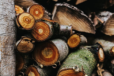 wooden logs, Wooden, logs, wood, forest, trunks, timber, wood - Material, firewood, tree, log, nature, brown, lumber Industry, backgrounds, tree Trunk, close-up, woodpile, heap, stack, large group of objects, abundance, deforestation, fossil fuel, fuel and power generation, no people, textured, full frame, outdoors, 4K, CC0, public domain, royalty free