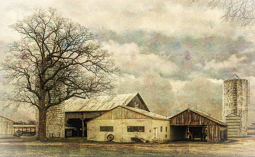 lade, rustik, staldene, ohio, digital kunst, landdistrikterne, naturskøn, Land, landskabet, landskab, skur, skure, gård, gårde, landbrug, landbrugs, stuehus, Champaign, region, americana, Foto, fotografi, struktur, strukturer, sturgell, william sturgell, bill sturgell, historisk, hjem indretning, bygninger, skyer, himmel, træ, træer, overskyet, ukrudt, champaign county, Urbana, bygget struktur, arkitektur, bygning udvendig, bygning, hus, plante, ingen mennesker, bare træ, sky - himmel, natur, boligområde, dag, forladt, gammel, landlige scene, landbrugsbygning, sommerhus, 5K, CC0, offentligt domæne, royaltyfrie