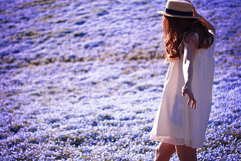 foto, donna, indossare, bianca, Abiti, a piedi, viola, campo di fiori, camminando, fiore viola, campo, donne, natura, fiore, all'aperto, estate, persone, etnia caucasica, femmine, bellissimo, una persona, bellezza, lavanda, bellezza nella natura, felicità, primavera, giovane adulto, adulto, cappello, capi di abbigliamento, in piedi, tre quarti, terra, stili di vita, attività di svago, capelli lunghi, acconciatura, retrovisore, giorno, persone reali, capelli, abbigliamento casual, moda, cappello da sole, bella donna, 1080P, CC0, dominio pubblico, privo di copyright