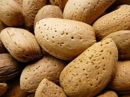 Mandeln, Nüsse, Schale, Lebensmittel, Mandel, Schüssel, Mandelschale, Essen und Trinken, keine Leute, Nahansicht, gesundes Essen, Brot, Frische, Hintergründe, Wohlbefinden, Vollbild, große gruppe von gegenständen, Stillleben, braun, drinnen, Fülle, Gruppe von Objekten, fertig für den Verzehr, gebacken, Gruppe, Nuss, 2K, CC0, gemeinfrei, lizenzfrei