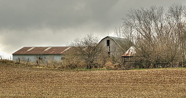 fienile, fienili, rustico, arte, arte digitale, artistico, strutturato, Ohio, rurale, nazione, scenario, azienda agricola, aziende agricole, agricoltura, contea di champagne, cadente, fienile fatiscente, abbandonato, fienile abbandonato, non usato, fienile inutilizzato, intemperie, fienile stagionato, dimenticato, fienile dimenticato, americana, struttura, strutture, Sturgell, William Sturgell, Bill Sturgell, foto, fotografia, storico, Home decor, nuvole, cielo, albero, alberi, erbacce, champagne, contea, urbana, architettura, esterno dell'edificio, struttura costruita, costruzione, Casa, nuvola - cielo, edificio agricolo, natura, paesaggio, nessuno, terra, scena rurale, albero nudo, pianta, quartiere residenziale, ambiente, all'aperto, Cottage, senza speranza, 4K, CC0, dominio pubblico, privo di copyright