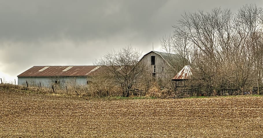 stodola, stodoly, rustikální, umění, digitální umění, umělecký, texturou, Ohio, venkovský, země, scenérie, hospodařit, zemědělských podniků, zemědělství, champaign county, zchátralý, chátrající stodola, opuštěný, opuštěná stodola, nepoužitý, nepoužitá stodola, zvětralý, zvětralý stodola, zapomenutý, zapomenuté stodoly, americana, struktura, struktur, sturgell, william sturgell, Bill Sturgell, fotografie, historický, domovní dekorace, mraky, nebe, strom, stromy, plevele, champaign, hrabství, urbana, architektura, exteriér budovy, stavba, budova, Dům, mrak - nebe, zemědělské budovy, Příroda, krajina, nikdo, přistát, venkovské scény, holý strom, rostlina, rezidenční čtvrti, životní prostředí, venku, chalupa, beznadějnost, 4K
