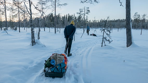 uomo, blu, cappotto, a piedi, la neve, traino, grigio, carro, bagagli, alberi, giorno, coperto, strada, Tirare, slitta, foresta, inverno, freddo, traccia, giacca, tramonto, sentiero, albero, Finlandia, artico, temperatura fredda, Colore bianco, natura, bellezza nella natura, persone reali, campo, pianta, scenics - natura, terra, copertura, stili di vita, attività di svago, scena non urbana, uomini, vestiti caldi, all'aperto, 4K, CC0, dominio pubblico, privo di copyright