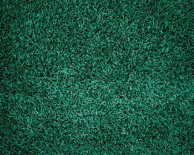 piatto, posare, foto, verde, erba del prato inglese, erba, astratto, fondale, sfondo, bellissimo, pulito, avvicinamento, colore, ambiente, campo di calcio, fresco, golf, crescita, terra, paesaggio, prato, stile di vita, prato naturale, natura, all'aperto, parco, modello, pianta, ricreazione, calcio, spazio, primavera estate, struttura, cortile, sfondi, strutturato, colore verde, fotogramma intero, nessuno, campo, giorno, agricoltura, torba, bellezza nella natura, vista dall'alto, effetto strutturato, vuoto, 4K, CC0, dominio pubblico, privo di copyright