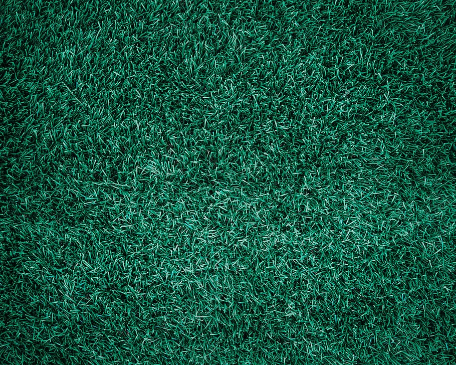 pis, laïc, foto, verd, gespa de gespa, herba, resum, teló de fons, fons, bonic, netejar, primer pla, color, medi ambient, futbol de camp, fresc, golf, creixement, terra, paisatge, gespa, estil de vida, prat natural, naturalesa, a l'aire lliure, parc, patró, planta, recreació, futbol, espai, primavera Estiu, textura, fons de pantalla, pati, color verd, marc complet, cap gent, camp, dia, agricultura, bellesa a la natura, vista d’angle alt, efecte texturat, en blanc, 4K