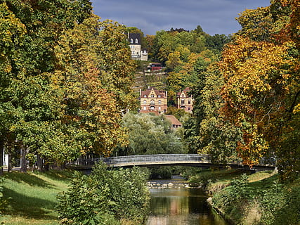Příroda, strom, list, park, podzim, řeka, most, barvitý, listy, losos, voda, tübingen, rostlina, stavba, architektura, růst, zelená barva, krása v přírodě, den, exteriér budovy, změna, nikdo, scenics - příroda, odraz, klid, venku, 4K, CC0, veřejná doména, bez autorských práv