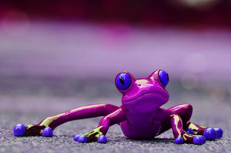 frø, sjov, figur, nuttet, dyr, sjovt, lilla, sød, frosk øjne, lurer, legetøj, lyserød farve, repræsentation, ingen mennesker, magenta, fokus på forgrunden, udendørs, natur, tæt på, dag, multi farvet, dyreliv, selektiv fokusering, 4K