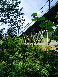 bahnbrücke, most, Struktury, drzewo, roślina, zbudowana struktura, wzrost, architektura, zielony kolor, połączenie, Natura, most - struktura stworzona przez człowieka, żadnych ludzi, dzień, niski kąt widzenia, niebo, transport, na dworze, na zewnątrz budynku, liść, bujne liście, listowie, szkółki roślin, 4K, CC0, domena publiczna, darmowe zdjęcia