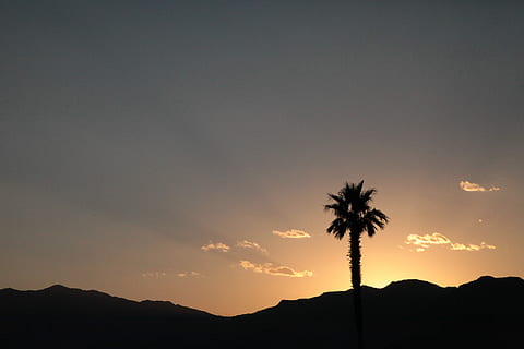 Nevada, Silhouette, Palmenpflanze, golden, Stunde, Baum, Sonne, Wolkengebilde, Rock, Himmel, Palme, Sonnenuntergang, Schönheit in der Natur, Szenen - Natur, tropisches Klima, Berg, Natur, Pflanze, Ruhe, ruhige Szene, kopieren sie platz, idyllisch, keine Leute, Landschaft, draußen, Reiseziele, hinterleuchtet, Kokospalme, 5K, CC0, gemeinfrei, lizenzfrei