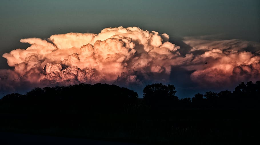 alberi, bianca, nuvole, tempesta, cielo, natura, ardente, silhouette, incendio forestale, tramonto, nessuno, Paesaggi, all'aperto, la tranquillità, nuvola - cielo, bellezza nella natura, ambiente, segnale di pericolo, cartello, scenics - natura, paesaggio, albero, energia, buio, cielo drammatico, comunicazione, fumo - struttura fisica, potere in natura, inquinamento, 5K