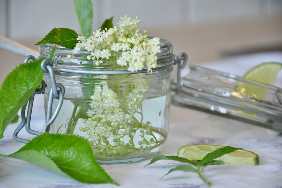 rodanxes, llimona, clar, envàs de vidre, major, flor de flotant, xarop, refresc, extintor de la set, suc de fruites, beure, suc, sucre, aigua, vidre, set, vitamines, calor, estiu, còctel, limone, menjar, frescor, full, menjar i beguda, benestar, planta, alimentació saludable, part de la planta, cap gent, herba, naturalesa, a l'interior, taula, vegetals, primer pla, color verd, flor, planta amb flors, centrar-se en primer pla, contenidor, fulla de menta - culinària, safata, 4K