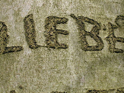 tree, by scripture, love, engraved, no people, day, textured, close-up, wall - building feature, text, outdoors, full frame, built structure, backgrounds, architecture, creativity, wall, communication, art and craft, old, representation, nature, rough, carving - craft product, textured effect, concrete, 2K, CC0, public domain, royalty free