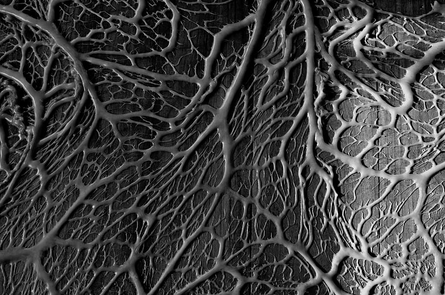 gris, negre, vena, resum, obra d'art, blanc i negre, material, mostra, estructura, mínim, patró, fons, marc complet, cap gent, primer pla, complexitat, xarxa de pesca, tèxtil, a l'interior, dia, vista d’angle alt, indústria pesquera, textura, ampliació, arrel, natura morta, naturalesa, enredat, 4K