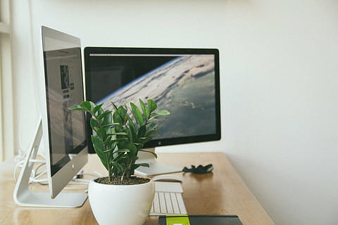 sølv imac, arbejdsplads, skrivebord, computer, kontor, arbejder, desktop, skærm, hjemmekontor, arbejdsområde, mac, imac, bord, forretning, fjernsyn, indendørs, potteplante, hjem interiør, fladskærm, ingen mennesker, arkitektur, home showcase interiør, hjemlige liv, dag, plante, natur, stue, hjemlige værelse, teknologi, fravær, mad og drikke, tæt på, vækst, mad, stueplante, blomsterkrukke, 5K, CC0, offentligt domæne, royaltyfrie