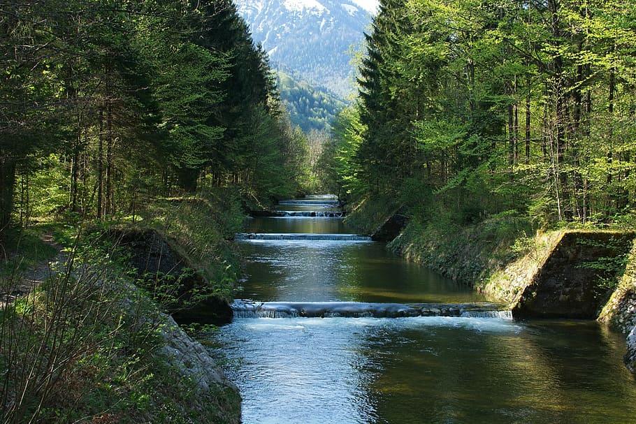 fotografie, stromy, rostoucí, riviere, jaro, les, Příroda, řeka, kaskáda, vodopád, krajina, strom, rostlina, voda, krása v přírodě, scenics - příroda, růst, nikdo, den, zelená barva, tekoucí voda, mimoměstské scény, architektura, pohyb, přistát, nábřeží, venku, tekoucí, 5K