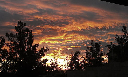 puesta de sol, nubes, fondo del atardecer, dramático, cielo naranja, bosque, parque, arboles, oscuro, oscuridad, noche, cielo de la tarde, árbol, planta, cielo, belleza en la naturaleza, paisajes - naturaleza, silueta, tranquilidad, nube - cielo, naturaleza, nadie, escena tranquila, color naranja, idílico, crecimiento, al aire libre, cielo dramático, tierra, arquitectura, luz del sol, árbol conífero, 2K, CC0, dominio público, libre de derechos