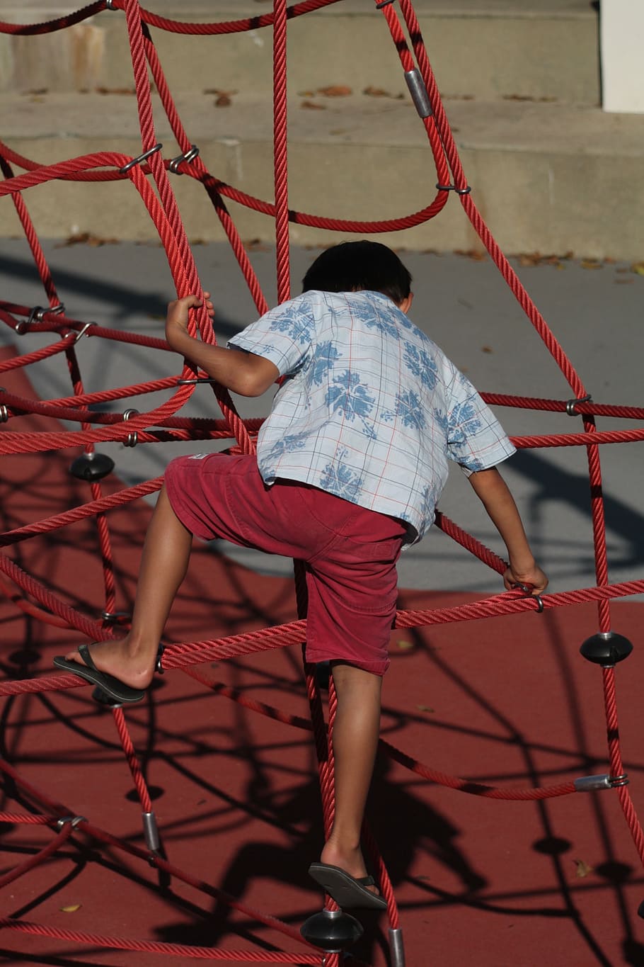 joc, nen, pushover, vermell, esforç, atracció, persones reals, infància, parc infantil, vista del darrere, una persona, longitud completa, corda, estils de vida, roba casual, activitat d'oci, homes, gimnàs a la selva, dia, força, equip de joc a l'aire lliure, noies, equilibri, a l'aire lliure, curts, 4K