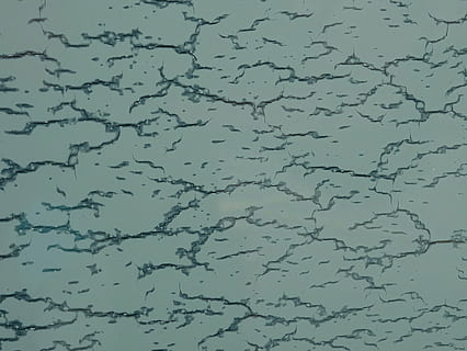 Risse, verwittert, Erosion, Muster, Textur, Hintergründe, Natur, abstrakt, keine Leute, Vollbild, Tag, Flachwinkelansicht, große Gruppe von Tieren, draußen, Himmel, Schönheit in der Natur, wolke - himmel, Tierwelt, Tiere in freier Wildbahn, Tier, Gruppe von Tieren, natürliches Muster, nass, Tierthemen, Vogelschwarm, 2K, CC0, gemeinfrei, lizenzfrei