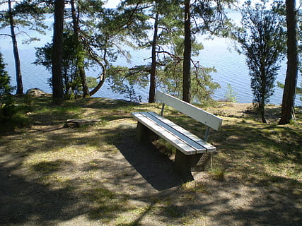thoughts, considering, sofa, think, lake, park, summer, go, rest, relax, bench, tree, plant, nature, land, sunlight, day, no people, shadow, forest, seat, field, tranquility, tree trunk, table, trunk, outdoors, beauty in nature, grass, absence, 2K, CC0, public domain, royalty free