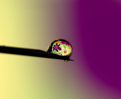 tirar, aigua, reflexió, coloració, macro, fons de colors, tir de l'estudi, a l'interior, cap gent, sol objecte, primer pla, multicolor, color rosa, còpia espai, creativitat, natura morta, llum - fenomen natural, ombra, moviment, enfocament selectiu, porpra, naturalesa, il·luminat, groc, frescor, 1080P, CC0, domini públic, lliure de regalies