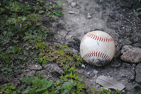 hvid, baseball bold, grå, jord, baseball, Fallen, tilbehør, bold, collage, udstyr, ferie, sport, uddannelse, baseball - bold, baseball - sport, dag, ingen mennesker, natur, udendørs, høj vinkel visning, plante, Mark, selektiv fokusering, tæt på, smuds, vækst, fokus på forgrunden, sfære, spillerum, græs, 4K, CC0, offentligt domæne, royaltyfrie