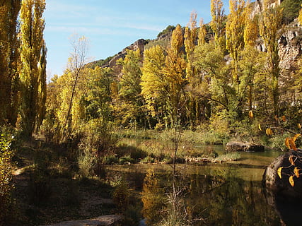 Fluss, Pappeln, Reflexion, Wasser, Landschaft, Natur, Herbst, Baum, Pflanze, Ruhe, Wachstum, Schönheit in der Natur, ruhige Szene, Veränderung, Szenen - Natur, See, Himmel, keine Leute, Tag, Wald, Nicht-städtische Szene, Land, draußen, Herbstkollektion, fallen, 2K, CC0, gemeinfrei, lizenzfrei