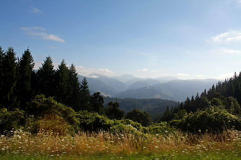 las, widoki, krajobrazy, Góra, drzewo, roślina, niebo, piękno natury, scenics - natura, spokój, chmura - niebo, spokojna scena, wzrost, Natura, środowisko, scena pozamiejska, krajobraz, żadnych ludzi, dzień, pasmo górskie, idylliczny, na dworze, światło słoneczne, wysoki, zasięg, 1080P, CC0, domena publiczna, darmowe zdjęcia