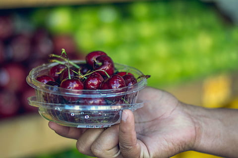 ciliegie, ciliegia, frutta, Bancarella della frutta, cibi organici, cibo, freschezza, maturo, biologico, mano umana, rosso, estate, mangiare sano, avvicinamento, natura, mano, parte del corpo umano, una persona, cibo e bevande, detenzione, benessere, concentrarsi sulle conoscenze acquisite, uno stile di vita sano, agricoltura, contenitore, adulto, giorno, azienda agricola, all'aperto, mani a coppa, contadino, 4K, CC0, dominio pubblico, privo di copyright