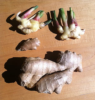 gingebre, zingiber, arrel, asiàtic, espècia, cuinar, picant, orgànic, ingredient, menjar i beguda, menjar, frescor, alimentació saludable, natura morta, benestar, a l'interior, taula, vegetals, vista d’angle alt, cap gent, aliments crus, marisc, taula de tallar, directament a sobre, primer pla, material de fusta, animal, menjar japonès, 1080P, CC0, domini públic, lliure de regalies