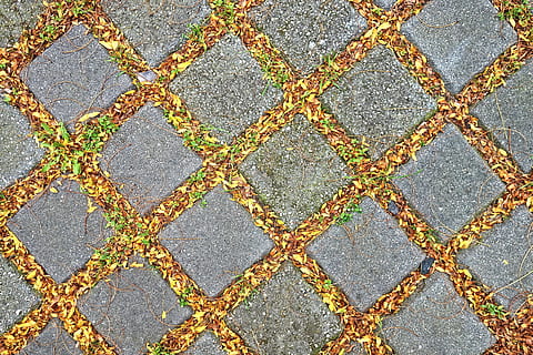 paviment, rajola, pedra, patró, fulles, vorera, pavimentació, urbà, carrer, forma de diamant, fons, marc complet, cap gent, sendera, dia, textura, vista d’angle alt, directament a sobre, carretera, disseny, repetició, llambordes, a l'aire lliure, forma, gris, forma geomètrica, sòl de rajoles, concret, 4K, CC0, domini públic, lliure de regalies