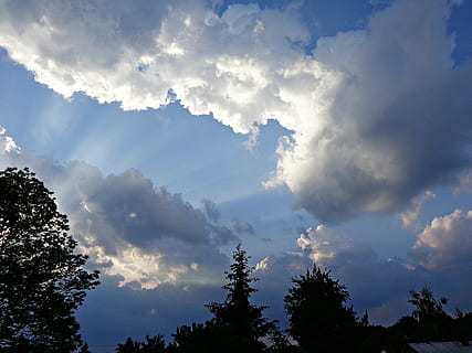 cer, nor, natură, plafon de nori, cer albastru, glomerulare, nori, albastru, alb, fundalul, razele, vreme, nori de ploaie, ceruri de nori, thundercloud, cloud kłębiasta, după furtună, razele soarelui, aură, nori întunecați, după ploaie, furtună, ploaie, tapet, copac, nor - cer, plantă, frumusețe în natură, liniște, vedere unghiulară joasă, scenice - natura, siluetă, nici o persoana, o scenă liniștită, Cloudscape, în aer liber, lumina soarelui, idilic, creştere, rază de soare, vârful copacului, Brad, conifer, meteorologie, 4K, CC0, domeniu public, fără drepturi de autor