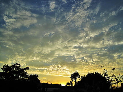 cielo, tramonto brillante, nuvole, diffusione, bianca, tramonto, splendore, d'oro, radiante, alberi, albero, silhouette, cielo drammatico, Paesaggi, nuvola - cielo, pianta, bellezza nella natura, scenics - natura, la tranquillità, natura, scena tranquilla, nessuno, Inquadratura dal basso, all'aperto, crescita, colore arancione, idilliaco, luce del sole, retroilluminato, 2K, CC0, dominio pubblico, privo di copyright