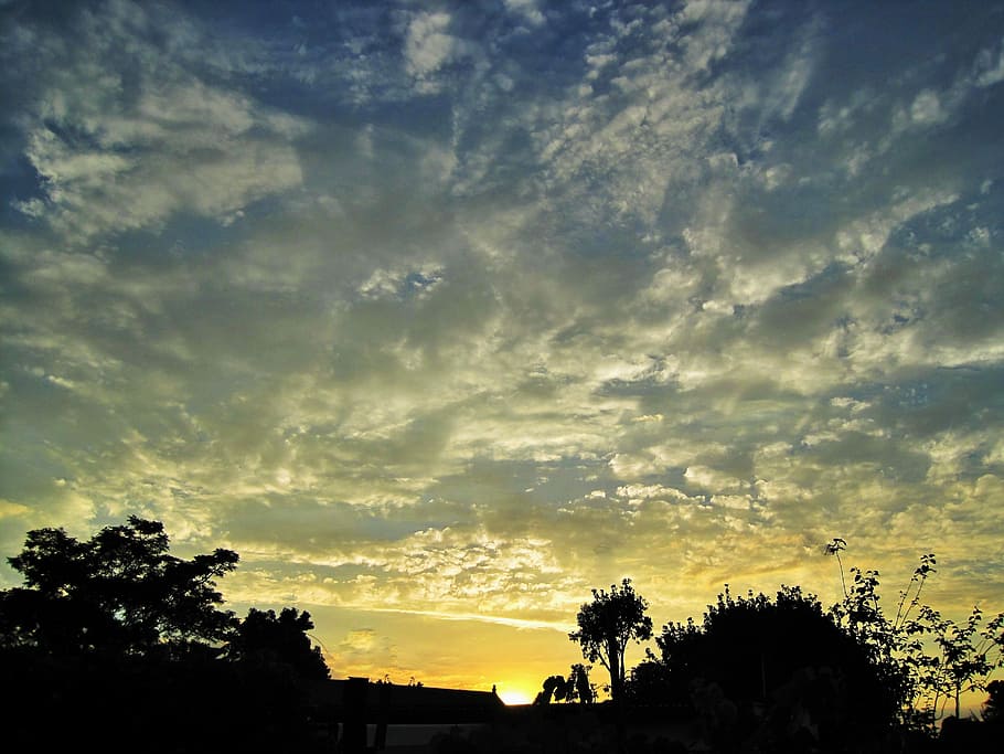 cielo, tramonto brillante, nuvole, diffusione, bianca, tramonto, splendore, d'oro, radiante, alberi, albero, silhouette, cielo drammatico, Paesaggi, nuvola - cielo, pianta, bellezza nella natura, scenics - natura, la tranquillità, natura, scena tranquilla, nessuno, Inquadratura dal basso, all'aperto, crescita, colore arancione, idilliaco, luce del sole, retroilluminato, 2K
