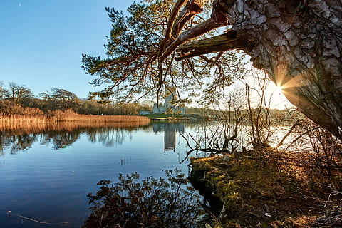 borg, ross, killarney, solnedgang, vann, tre, refleksjon, innsjø, ro, anlegg, skjønnhet i naturen, rolig scene, himmel, naturskjønnhet - natur, natur, ingen folk, ikke-urbane scene, idylliske, dag, vekst, utendørs, stamme, trestamme, 2K, CC0, offentlig domene, opphavsrett gratis