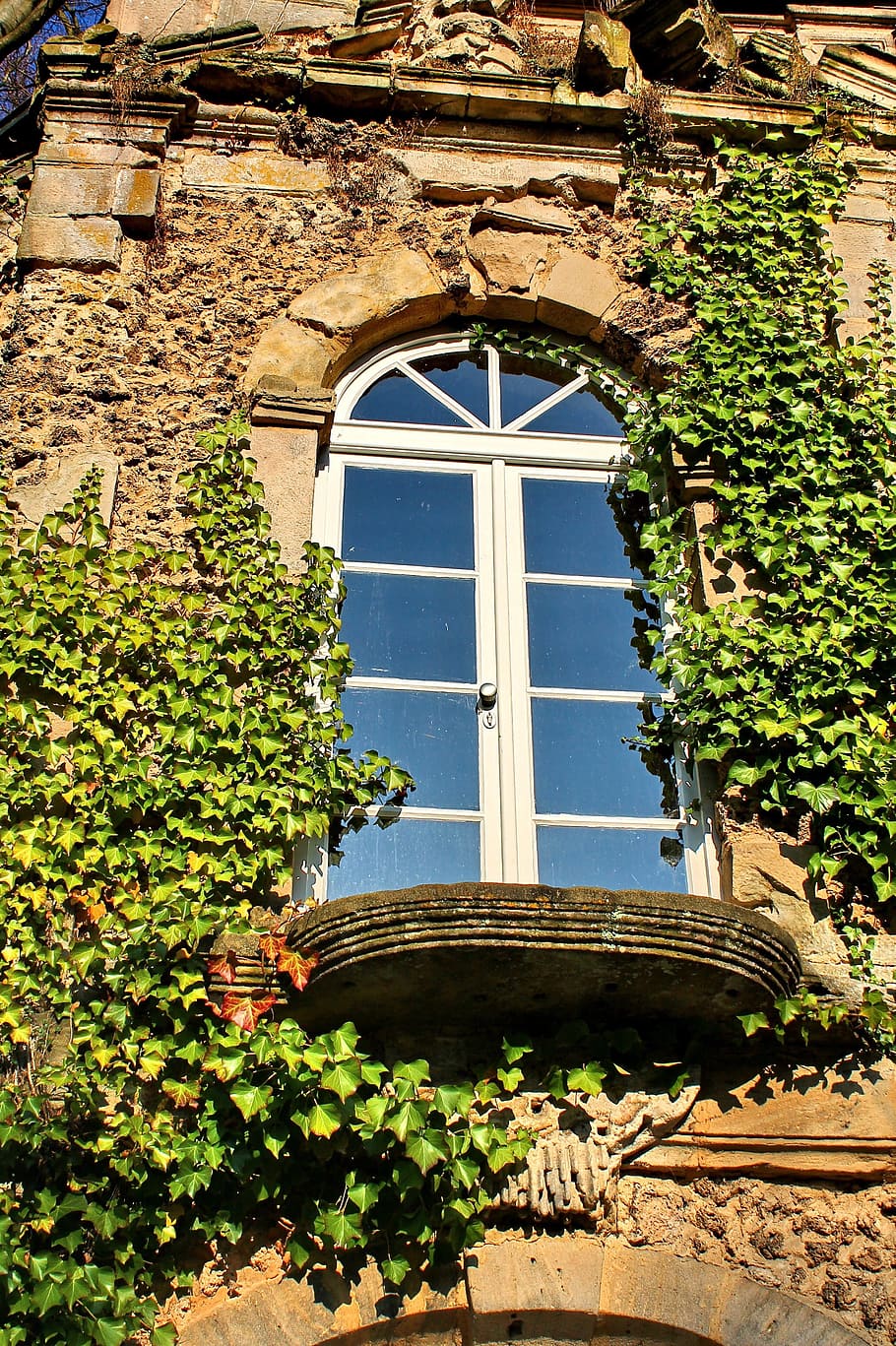 finestra, edera, parete, romantico, facciata, fouling, scalatore, ingrowing, verde, pianta, hauswand, architettura, ornamento, giardino, fronte interno, vecchio, costruzione, deco, foglia di edera, legna, pietra, misterioso, decorazione, esterno dell'edificio, struttura costruita, porta, arco, crescita, giorno, nessuno, natura, colore verde, Inquadratura dal basso, luce del sole, all'aperto, Casa, caratteristica della parete, il passato, arcuato, 2K