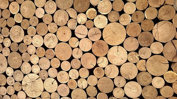 trossos marrons rodons, material, fusta, registres, carcassa, superfície, fons de pantalla, textura, fons, marc complet, indústria de la fusta, material de fusta, llenya, pila, gran grup d'objectes, registre, abundància, cap gent, desforestació, arbre, patró, bosc, forma, repetició, marró, 2K, CC0, domini públic, lliure de regalies
