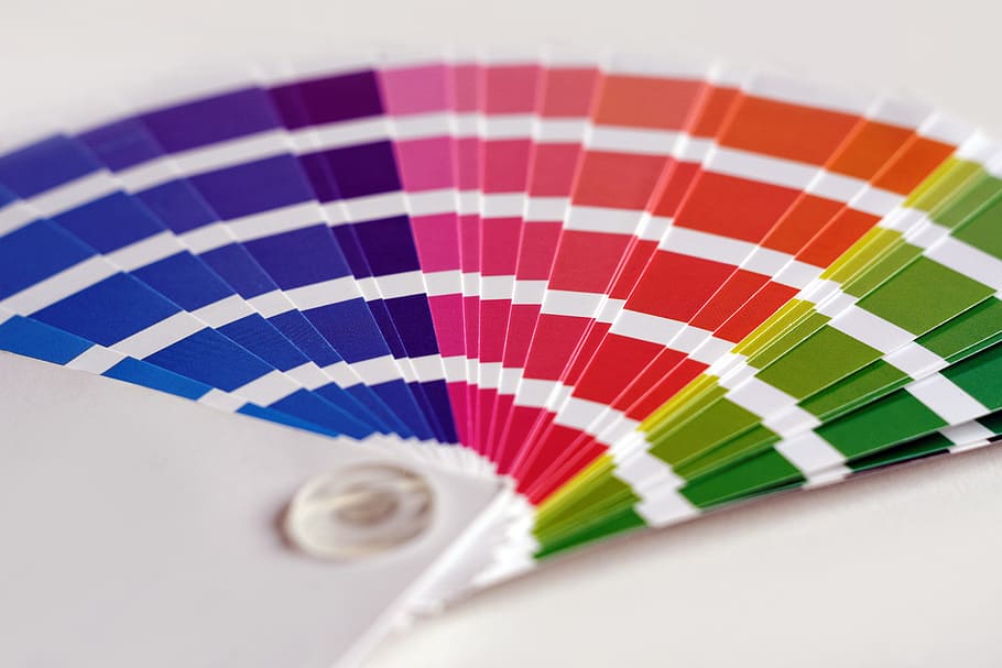 tembakan, desain / pencetakan, desain / panduan warna pencetakan, merapatkan, Desain, pencetakan, warna, panduan, berbagai, seni, carikan warna, multi-warna, spektrum, palet, cat, dekorator rumah, olahraga, tembakan studio, tidak ada orang, dalam ruangan, hari, tampilan sudut tinggi, merah, fokus selektif, pola, latar belakang putih, ketepatan, seni dan kerajinan, masih hidup, warna putih, menyalin ruang, dua benda, peralatan, 5K