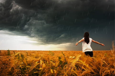 Frau, tragen, Weiß, Hemd mit Flügelärmeln, schwarz, Hose, Weizenfeld, Regen, Foto, Sturm, regnet, Tropfen, wolkig, grau, Himmel, Mädchen, Menschen, Felder, Pflanzen, Feld, eine Person, Stehen, Getreidepflanze, ländliche Szene, Natur, Land, echte Menschen, Freizeitbeschäftigung, Schönheit in der Natur, Lebensstile, Landschaft, Pflanze, Legere Kleidung, junger Erwachsener, Umgebung, wolke - himmel, Szenen - Natur, Dreiviertel Länge, draußen, menschlicher Arm, 1080P, CC0, gemeinfrei, lizenzfrei