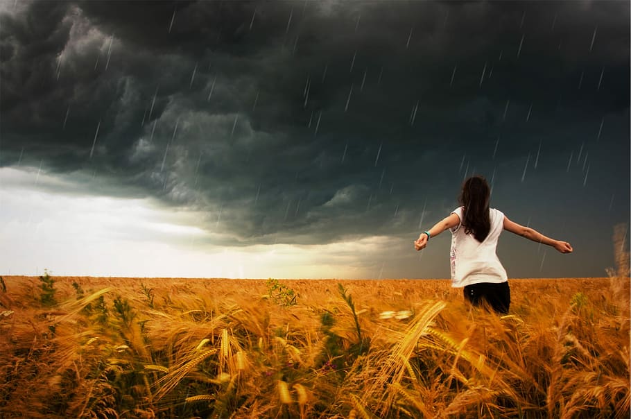 donna, indossare, bianca, camicia a maniche corte, nero, pantaloni, campo di grano, pioggia, foto, tempesta, piovere, gocce, nuvoloso, grigio, cielo, ragazza, persone, i campi, piante, campo, una persona, in piedi, pianta di cereali, scena rurale, natura, terra, persone reali, attività di svago, bellezza nella natura, stili di vita, paesaggio, pianta, abbigliamento casual, donne, giovane adulto, ambiente, nuvola - cielo, scenics - natura, tre quarti, all'aperto, braccio umano, 1080P