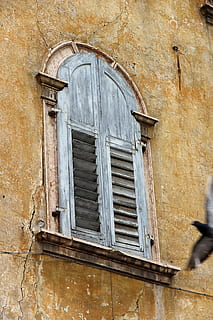 finestra, vecchio, vecchia finestra, facciata, storicamente, intemperie, legna, bicchiere, rottura, costruzione, finestre di legno, città vecchia, serramenti, otturatore, chiuso, struttura costruita, architettura, esterno dell'edificio, giorno, nessuno, caratteristica della parete, legno - materiale, Casa, Inquadratura dal basso, all'aperto, sicurezza, quartiere residenziale, protezione, danneggiato, deterioramento, telaio della finestra, 5K, CC0, dominio pubblico, privo di copyright