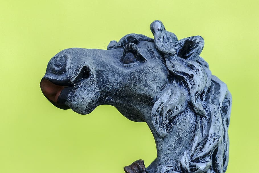 cavall, estàtua, pedra, escultura, divertit, decoració, primer pla, retrat, cap, animal, fons de colors, representació animal, representació, art i artesania, creativitat, tir de l'estudi, fons verd, cap gent, vista lateral, temes d'animals, fauna animal, mamífer, centrar-se en primer pla, groc, fons groc, dia, vista del perfil, 4K