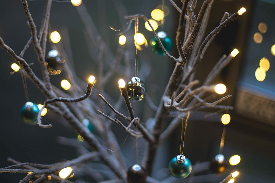 trasformato, luci di stringa, sospeso, spoglio, albero, palline, verde, fronzolo, albero di Natale, luci, arredamento, illuminato, decorazione, pianta, celebrazione, attrezzatura per l'illuminazione, vacanza, nessuno, Natale, notte, ramo, avvicinamento, messa a fuoco selettiva, concentrarsi sulle conoscenze acquisite, natura, luci di Natale, all'aperto, decorazione natalizia, raggiante, ornamento di Natale, lusso, 2K