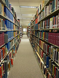 visualizzati, scaffali, dentro, camera, biblioteca, studia, libri, formazione scolastica, scuola, Università, lettura, letteratura, apprendimento, mensola, scaffale, libro, in casa, grande gruppo di oggetti, pubblicazione, abbondanza, ordine, scelta, preparativi, di fila, variazione, nessuno, collezione, prospettiva decrescente, corridoio, soffitto, 4K, CC0, dominio pubblico, privo di copyright